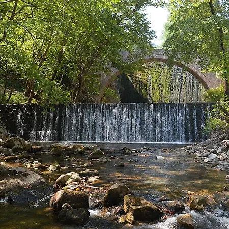 Chrysoula's -koziakas- * Pýli