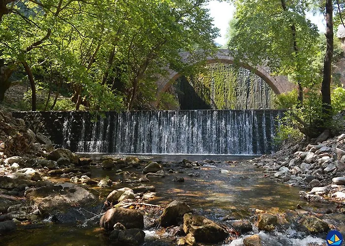 Chrysoula's -koziakas- * Pýli